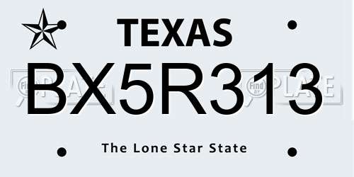 BX5R313 Texas License Plate