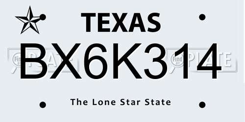 BX6K314 Texas License Plate