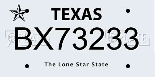 BX73233 Texas License Plate