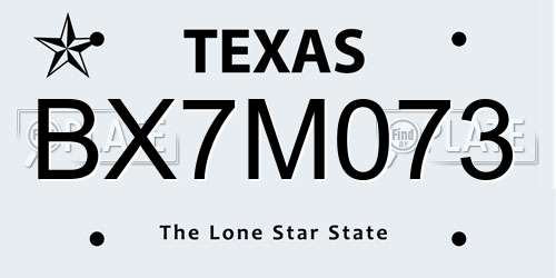 BX7M073 Texas License Plate