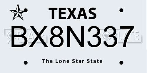 BX8N337 Texas License Plate