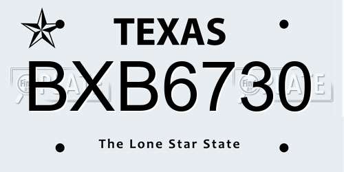 BXB6730 Texas License Plate