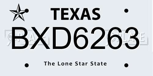 BXD6263 Texas License Plate