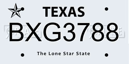 BXG3788 Texas License Plate