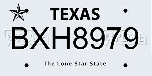 BXH8979 Texas License Plate