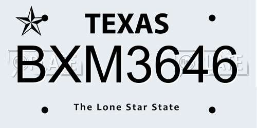BXM3646 Texas License Plate