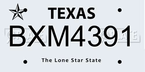 BXM4391 Texas License Plate
