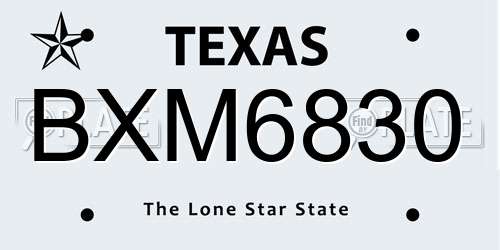 BXM6830 Texas License Plate