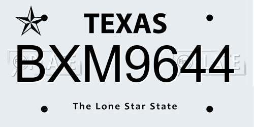 BXM9644 Texas License Plate