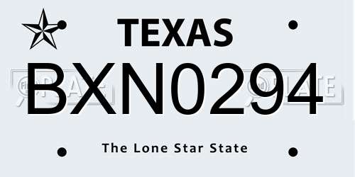 BXN0294 Texas License Plate