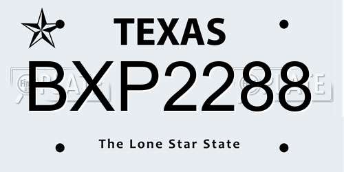 BXP2288 Texas License Plate