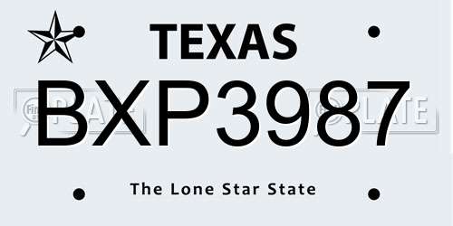 BXP3987 Texas License Plate