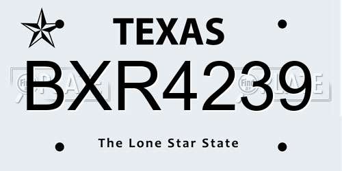 BXR4239 Texas License Plate