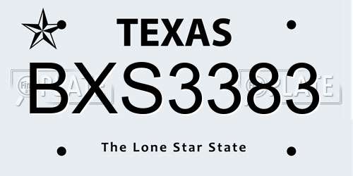 BXS3383 Texas License Plate