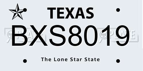 BXS8019 Texas License Plate