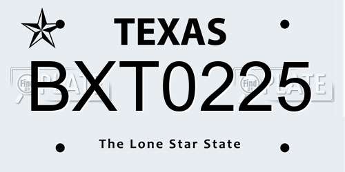 BXT0225 Texas License Plate