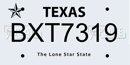 BXT7319 Texas License Plate