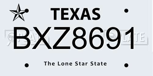 BXZ8691 Texas License Plate