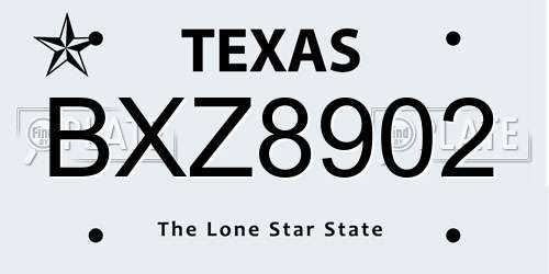 BXZ8902 Texas License Plate