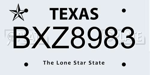 BXZ8983 Texas License Plate