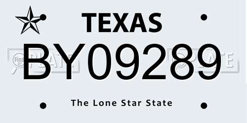 BY09289 Texas License Plate