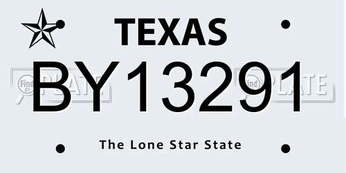 BY13291 Texas License Plate