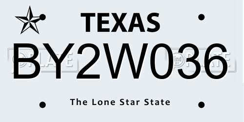 BY2W036 Texas License Plate