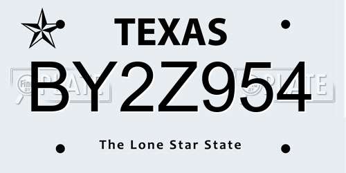BY2Z954 Texas License Plate