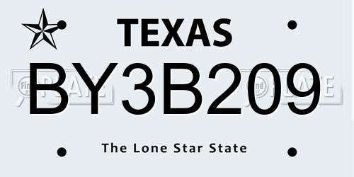 BY3B209 Texas License Plate