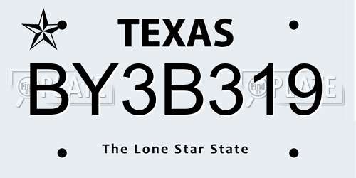 BY3B319 Texas License Plate