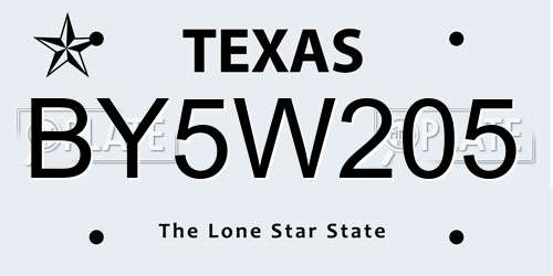 BY5W205 Texas License Plate