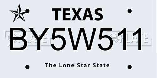 BY5W511 Texas License Plate