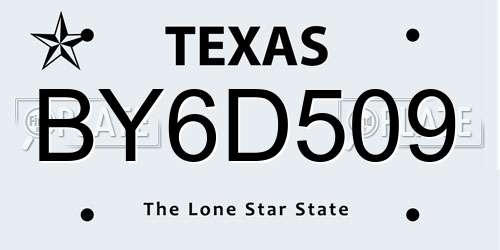 BY6D509 Texas License Plate
