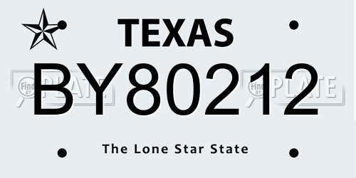 BY80212 Texas License Plate