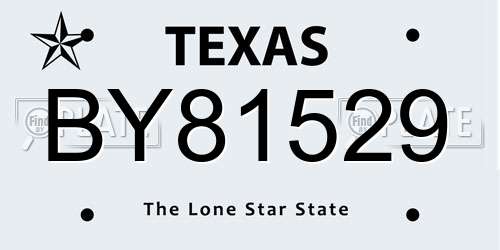 BY81529 Texas License Plate