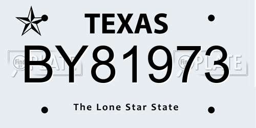 BY81973 Texas License Plate