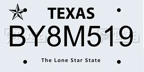 BY8M519 Texas License Plate