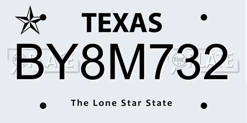 BY8M732 Texas License Plate