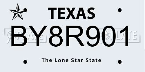 BY8R901 Texas License Plate