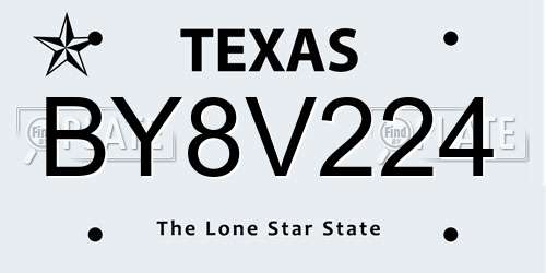 BY8V224 Texas License Plate