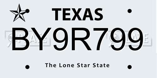 BY9R799 Texas License Plate