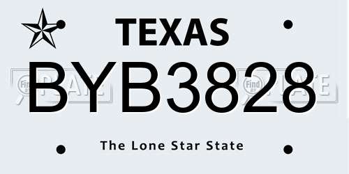 BYB3828 Texas License Plate