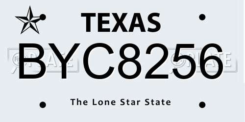 BYC8256 Texas License Plate
