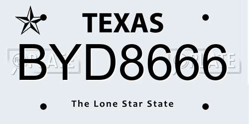 BYD8666 Texas License Plate