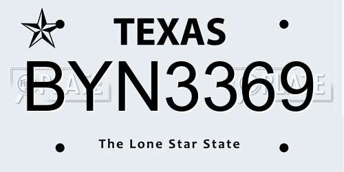BYN3369 Texas License Plate