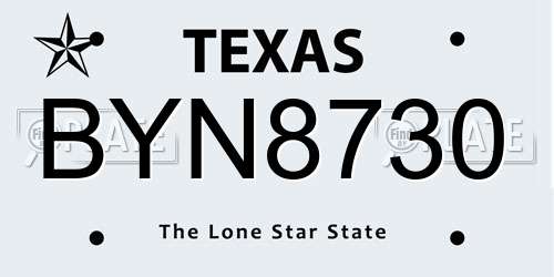 BYN8730 Texas License Plate