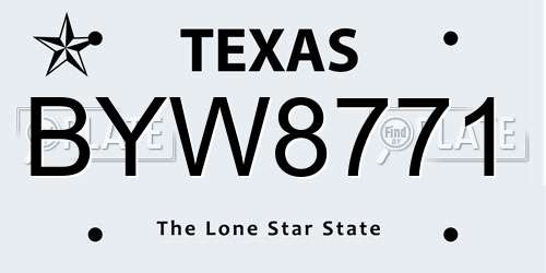 BYW8771 Texas License Plate
