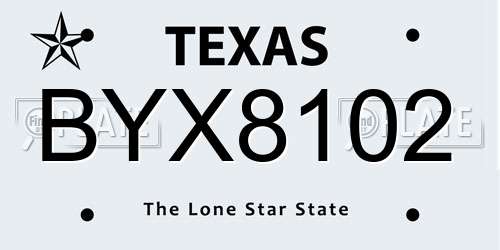 BYX8102 Texas License Plate
