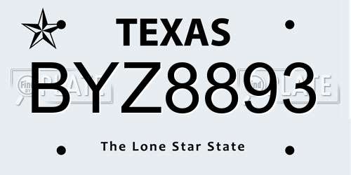 BYZ8893 Texas License Plate