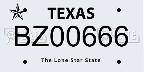 BZ00666 Texas License Plate